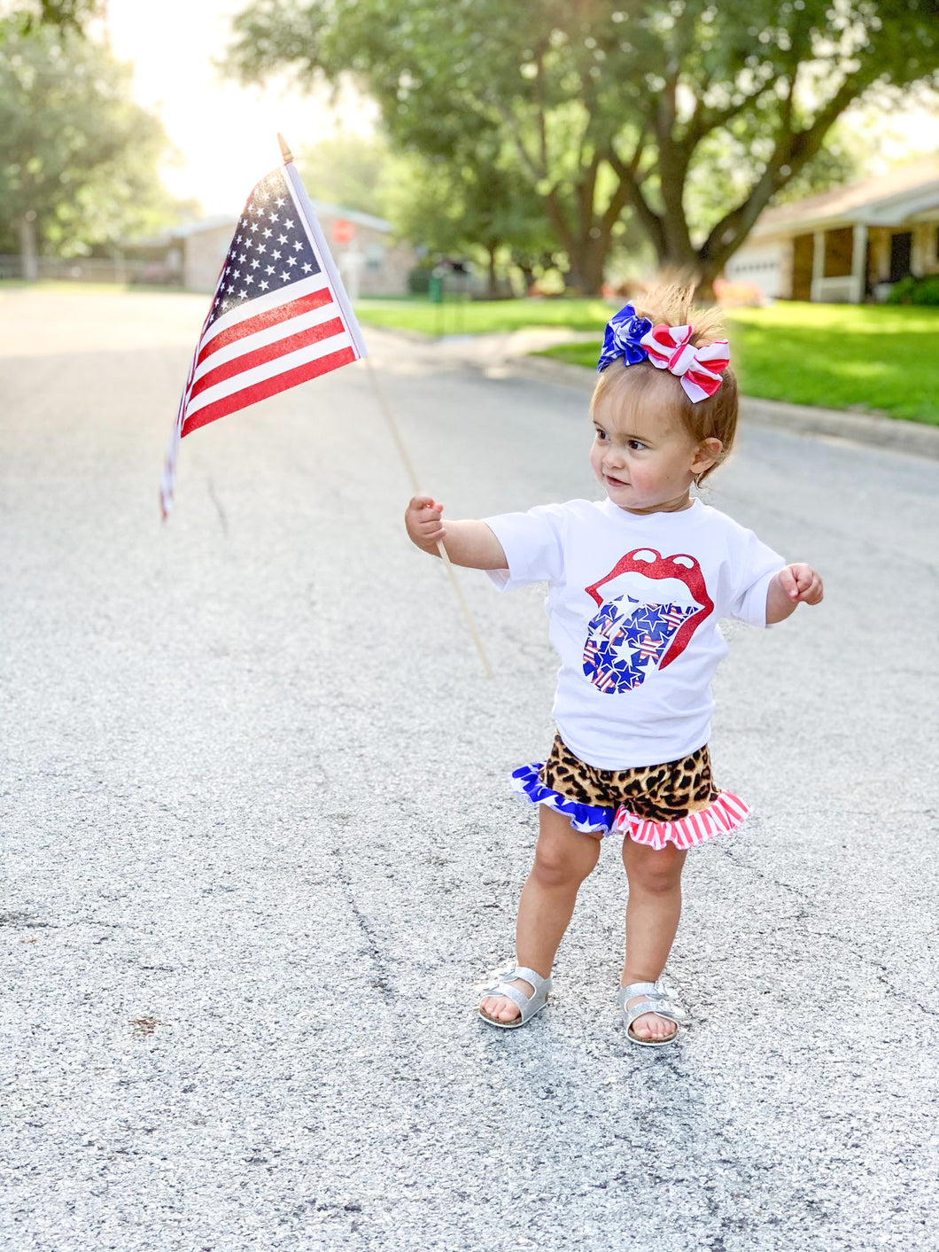 Patriotic Stars • American • Velvet