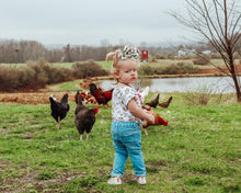 Load image into Gallery viewer, Chicken Bows • Farm
