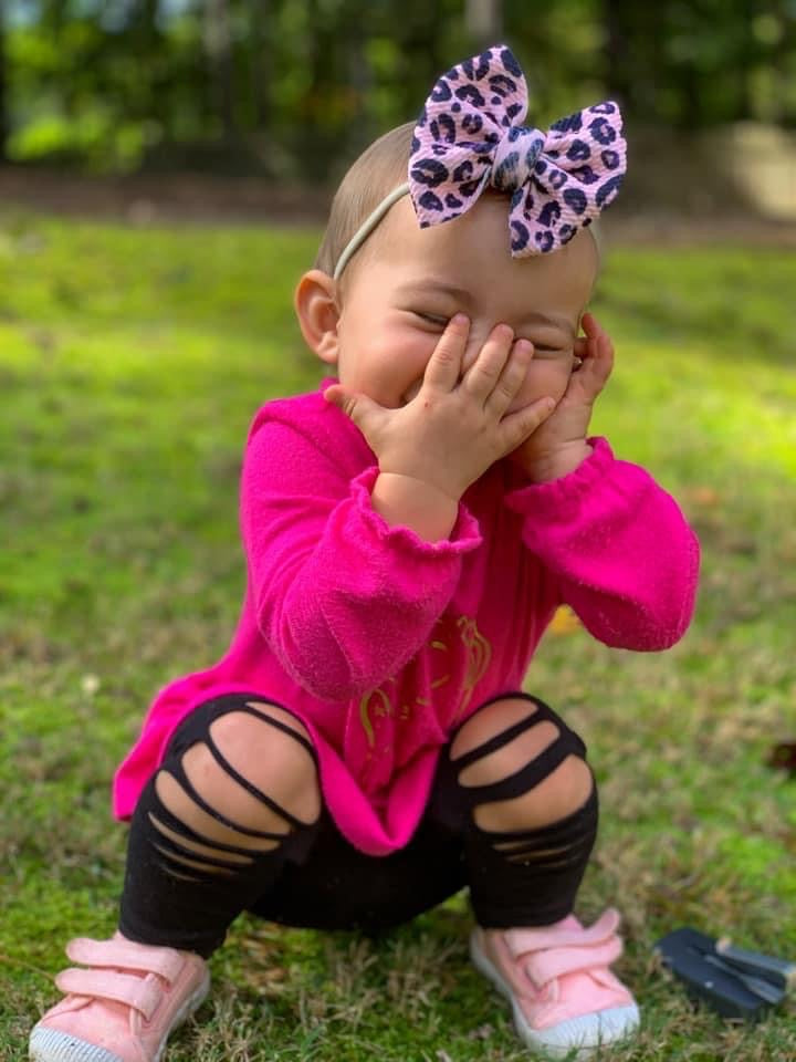 Pink Cheetah Bows