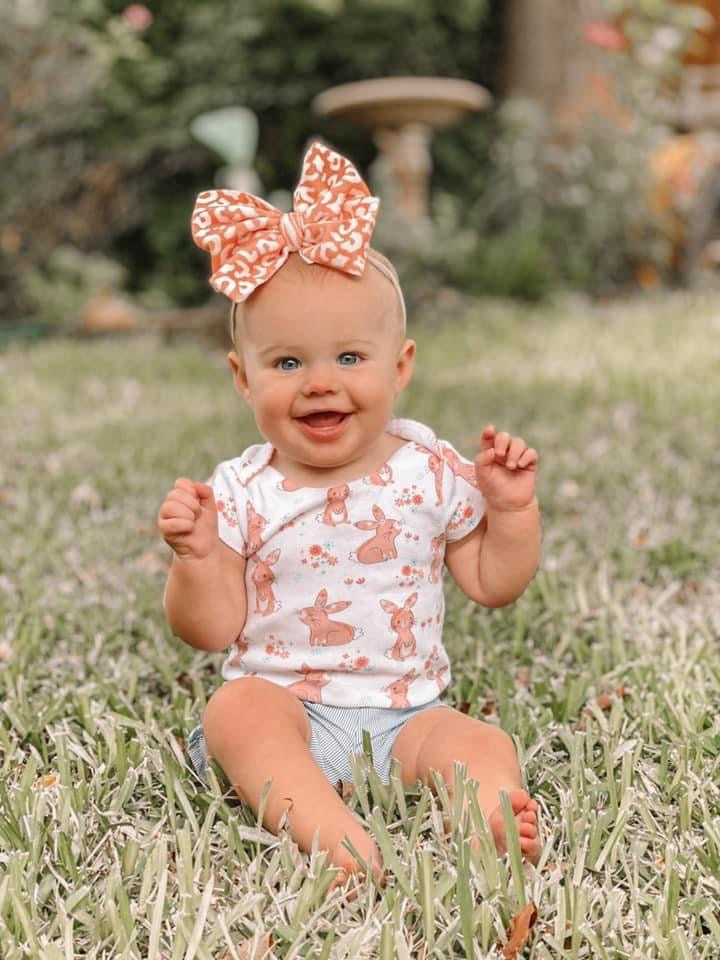 Dusty Pink Leopard Velvet Bow